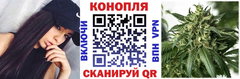 Бошки марихуана гибрид Андреаполь